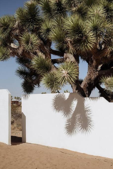 Le Chacuel Villa Joshua Tree Luaran gambar