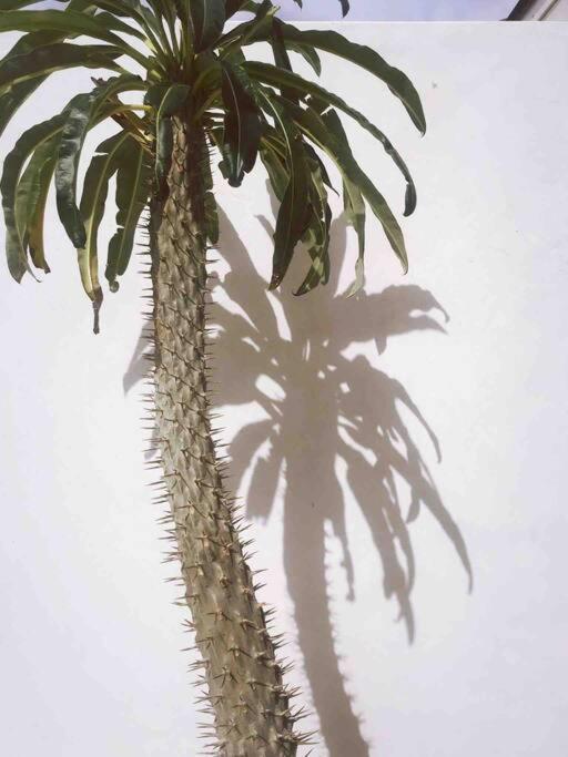 Le Chacuel Villa Joshua Tree Luaran gambar